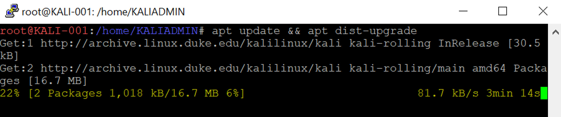 8_UpdateKali